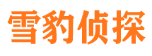 炉霍市侦探调查公司